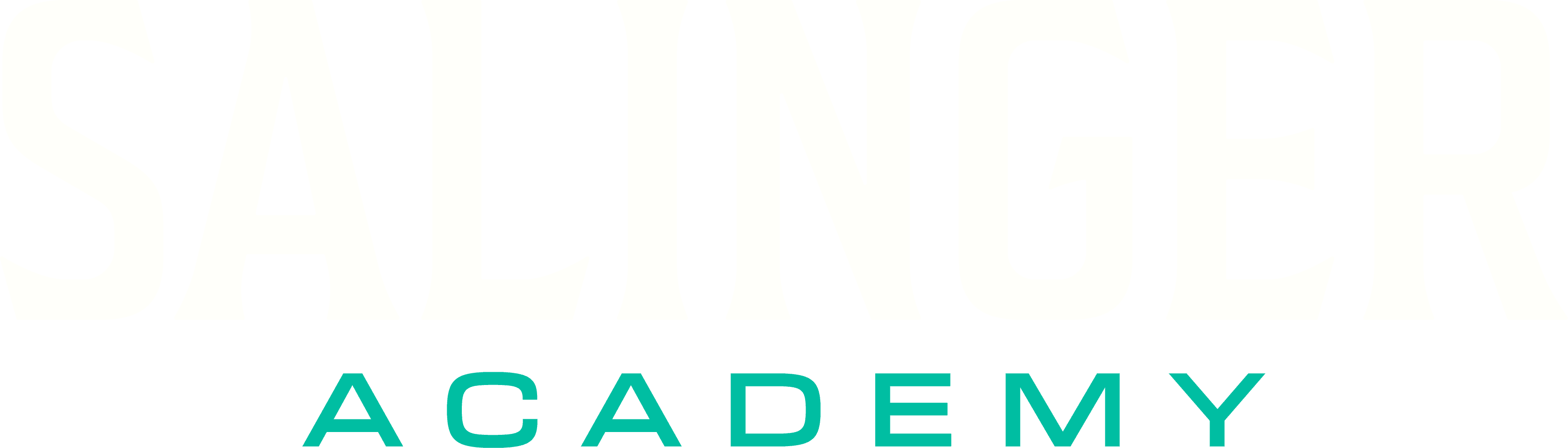 Salinger Academy Logo